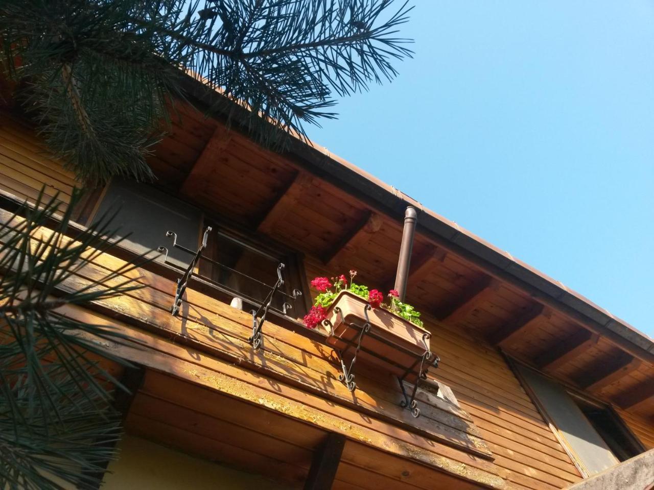 Casa Mica Guesthouse Bucarest Extérieur photo