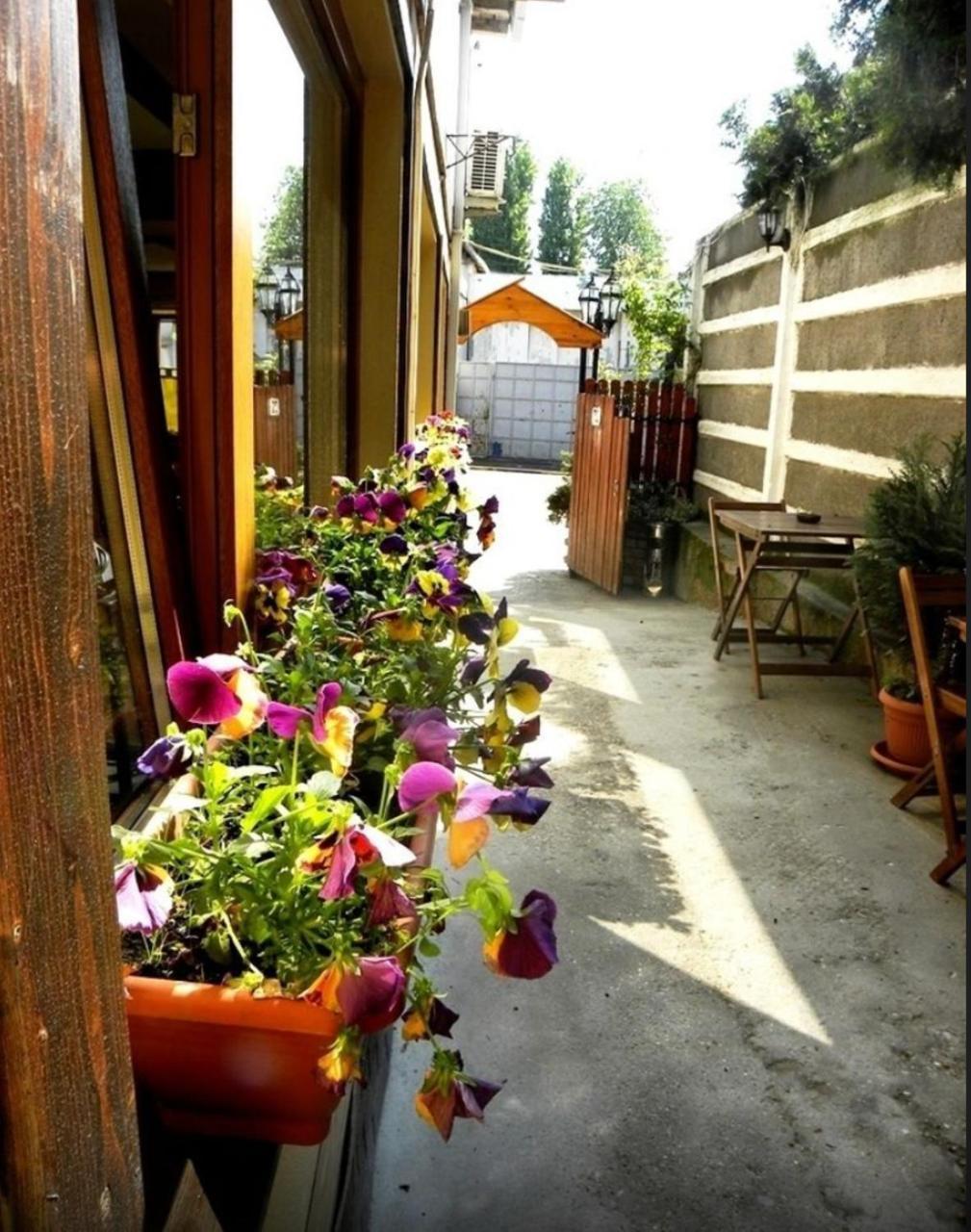 Casa Mica Guesthouse Bucarest Extérieur photo